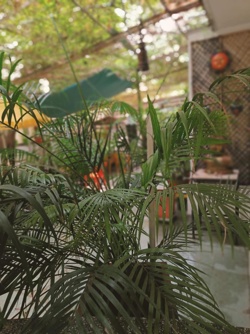 Srinekatan Heritage Villa Homestay Ahmedabad Exterior photo